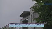 Pordenone, la difficile convivenza tra cornacchie e cittadini