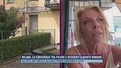 Milano, la convivenza tra pavoni e residenti a Quinto Romano