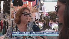 Piante d'estate, come se ne prendono cura gli italiani?