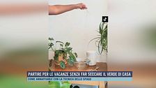 Partire per le vacanze senza far seccare il verde di casa