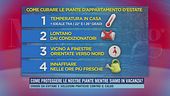 Come proteggere le nostre piante mentre siamo in vacanza?