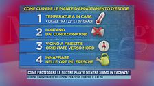 Come proteggere le nostre piante mentre siamo in vacanza?
