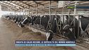 Ondata di caldo record, le difficoltà del mondo agricolo