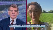 Il caldo record e lo spettro della siccità nei campi