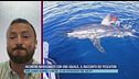 Incontro ravvicinato con uno squalo, il racconto dei pescatori