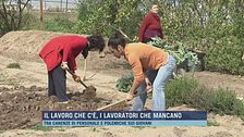 Il lavoro che c'è, i lavoratori che mancano