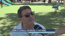 Carne di cavallo, favorevoli o contrari?