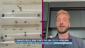 L'inviato delle Iene punto da una zecca africana