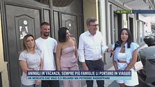 Animali in vacanza, sempre più famiglie li portano in viaggio