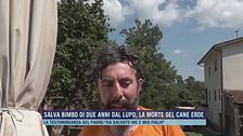 Cane salva un bimbo dal lupo, la testimonianza del papà