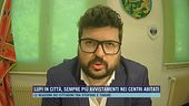 Lupi in città, sempre più avvistamenti nei centri abitati