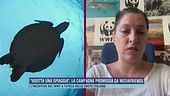 "Adotta una spiaggia", la campagna del Wwf promossa da Mediafriends
