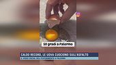 Caldo record, le uova cuociono sull'asfalto
