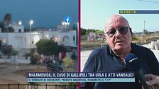 Malamovida, il caso di Gallipoli tra urla e atti vandalici