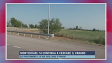 Montichiari, si continua a cercare il varano