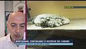Montichiari, continuano le ricerche del varano - Parla il Sindaco