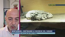 Montichiari, continuano le ricerche del varano - Parla il Sindaco