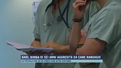 Bari, bimba di sei anni aggredita da cane randagio