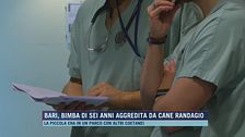 Bari, bimba di sei anni aggredita da cane randagio