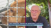 Cani aggressivi, come difendersi quando attaccano?