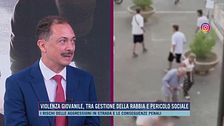 Violenza giovanile, tra gestione della rabbia e pericolo sociale: parla il Prof. Pierpaolo Limone