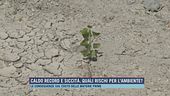 Caldo record e siccità, quali rischi per l'ambiente?