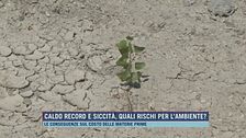 Caldo record e siccità, quali rischi per l'ambiente?
