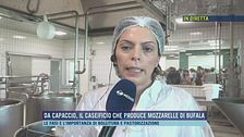 Da Capaccio, il caseificio che produce mozzarelle di bufala