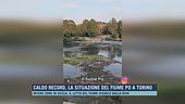 Caldo record, la situazione del fiume Po a Torino