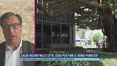 Caldo record nelle città, cosa può fare il verde pubblico?