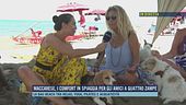 Maccarese, i comfort in spiaggia per gli amici a quattro zampe