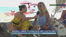 Maccarese, i comfort in spiaggia per gli amici a quattro zampe