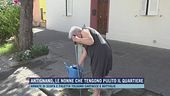 Antignano, le nonne che tengono pulito il quartiere