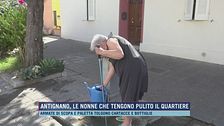 Antignano, le nonne che tengono pulito il quartiere