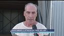 Avvistamenti e attacchi da parte dei lupi