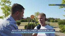 Noicattaro, bimbo di 6 anni attaccato da un lupo