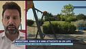 Bambino di 6 anni attaccato da un lupo - Parla il Sindaco di Noicattaro