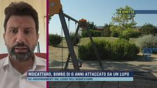Bambino di 6 anni attaccato da un lupo - Parla il Sindaco di Noicattaro