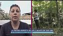 La pastora aggredita dai lupi e salvata dai suoi cani