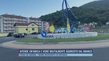 Difende un'amica e viene brutalmente aggredito dal branco
