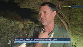 Gallipoli, parla l'uomo ferito dal lupo