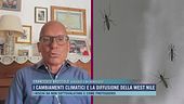 I cambiamenti climatici e la diffusione della West Nile
