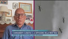 I cambiamenti climatici e la diffusione della West Nile