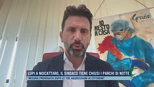 Lupi a Noicattaro, il sindaco tiene chiusi i parchi di notte