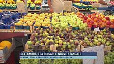 Settembre, quanto costa fare la spesa?