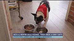 Dieta al rientro dalle vacanze, tocca anche a cani e gatti