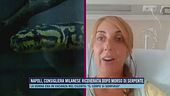 Napoli, consigliera milanese ricoverata dopo morso di serpente