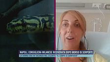 Napoli, consigliera milanese ricoverata dopo morso di serpente