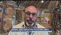 Serpenti, come comportarsi per evitare i morsi