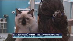 Cani sempre più presenti nelle famiglie italiane